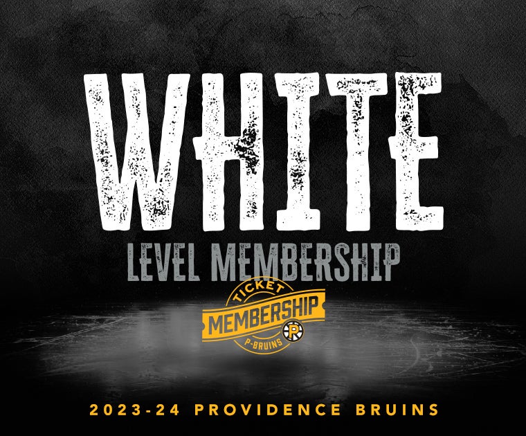 Retro Gaming Day  Providence Bruins
