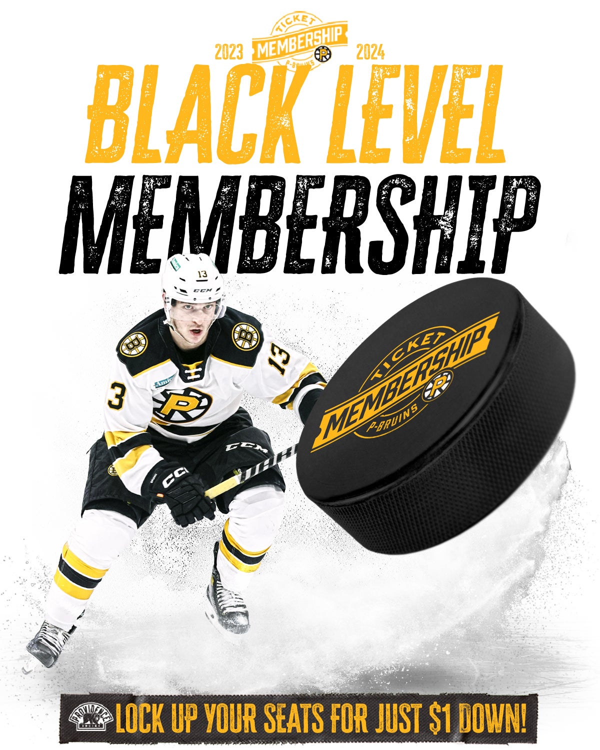Products – Providence Bruins Ticket Plans