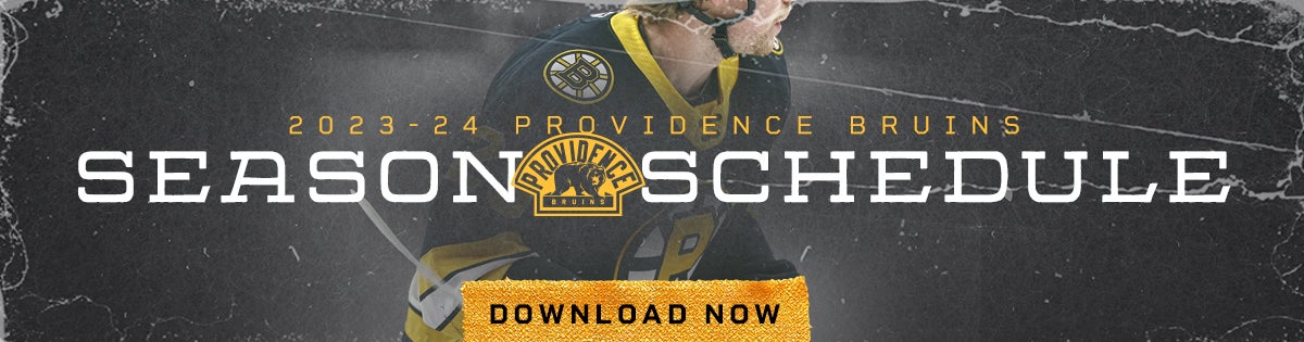 Providence Bruins Gifts & Merchandise for Sale