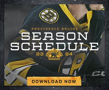 Providence Bruins Season Canceled Due To Coronavirus Concerns